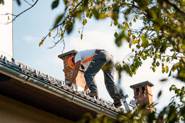 Best Roof Waterproofing Services  in Hamlin, WV