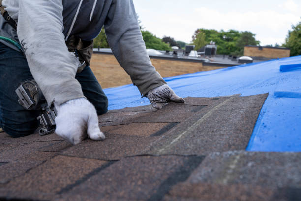 Best Roof Leak Repair  in Hamlin, WV
