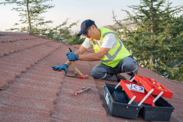 Best Shingle Roofing Installation  in Hamlin, WV